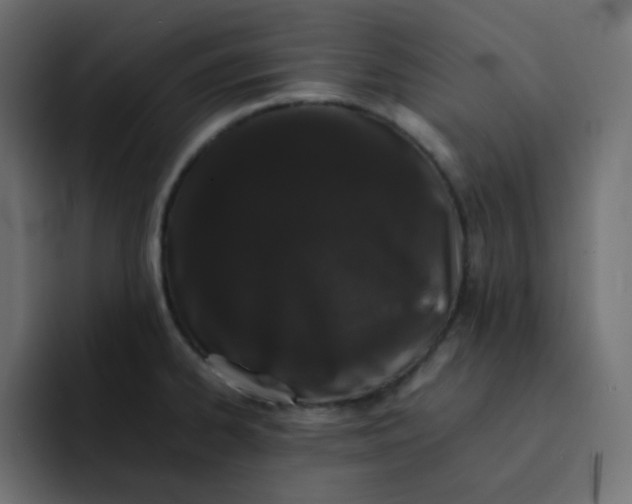 X0000092061334200710031054