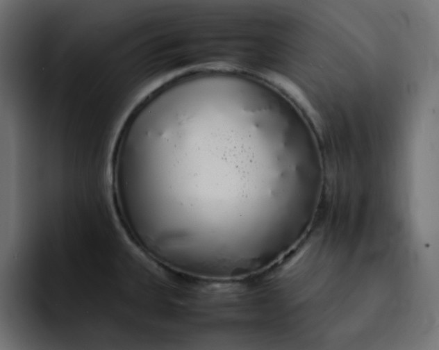 X0000092061335200710031054