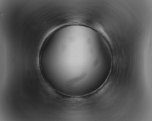 X0000092061336200710031054