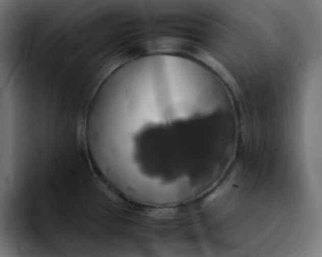 X0000092061337200710031054