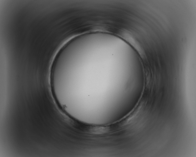 X0000092061339200710031054