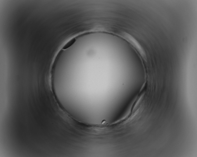 X0000092061340200710031054