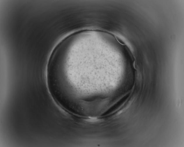 X0000092061343200710031054