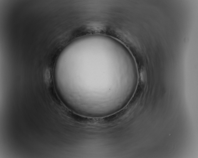 X0000092061347200710031053