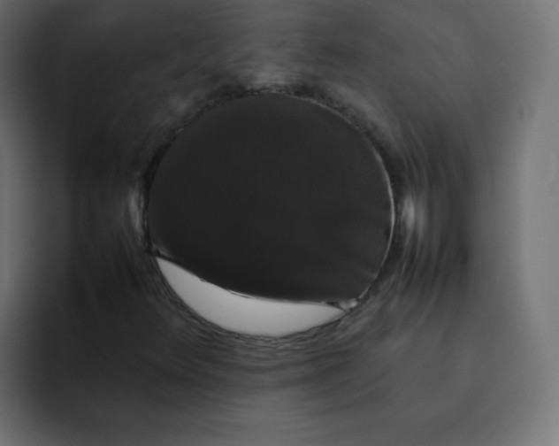 X0000092061348200710031053