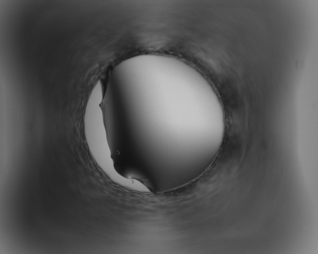 X0000092061349200710031053