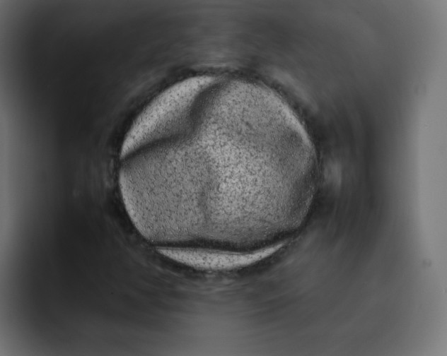 X0000092061350200710031053