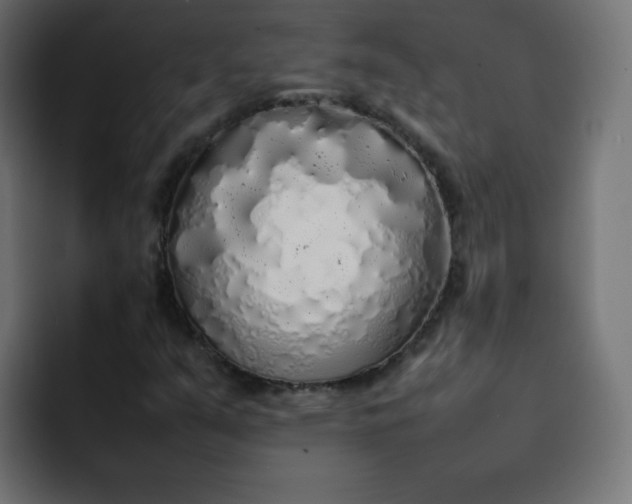 X0000092061351200710031053