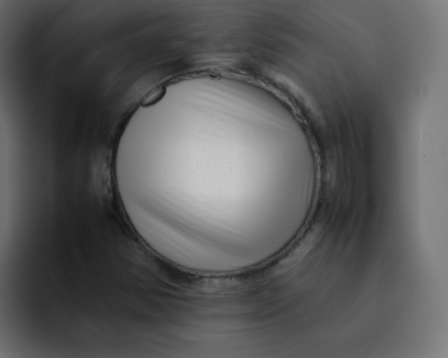 X0000092061354200710031053