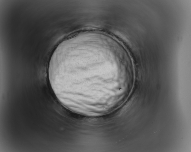 X0000092061355200710031053