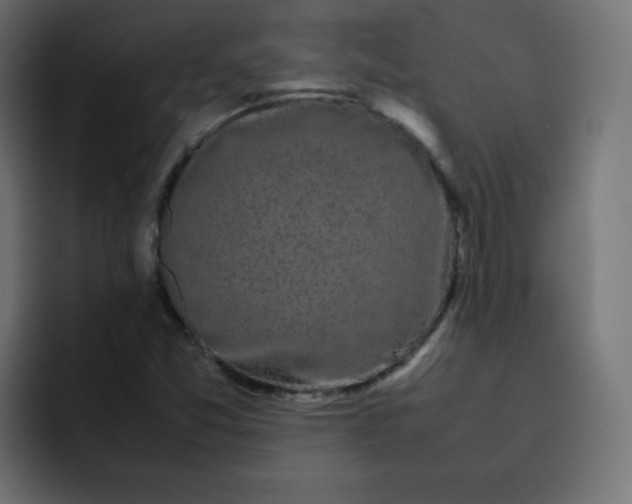 X0000092061357200710031053