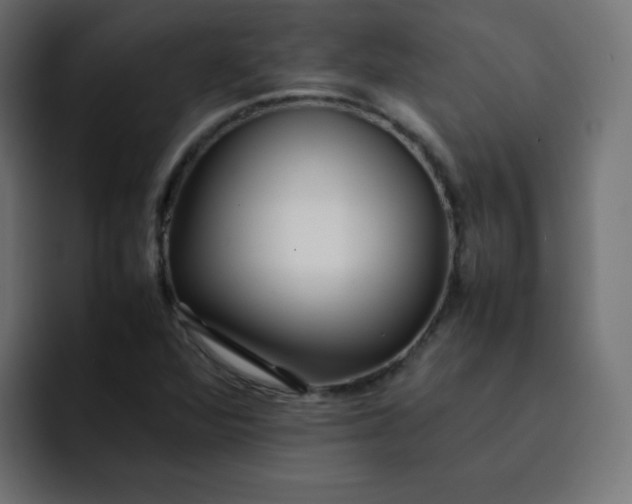 X0000092061360200710031053