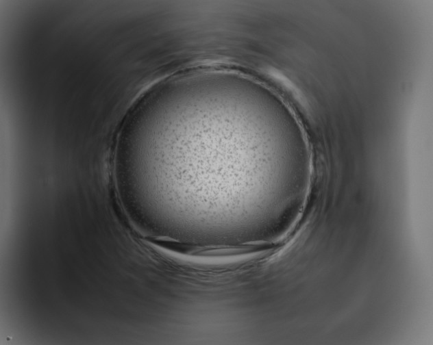 X0000092061361200710031053