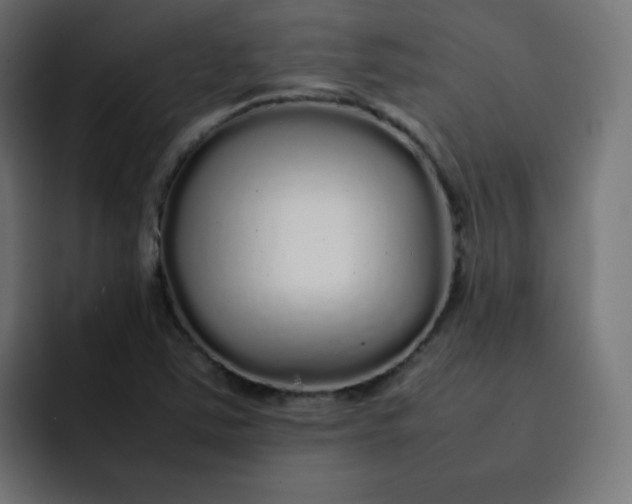 X0000092061363200710031053