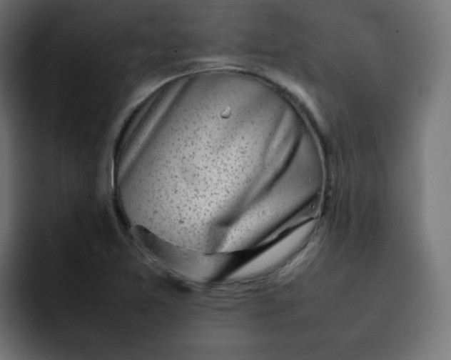 X0000092061365200710031053