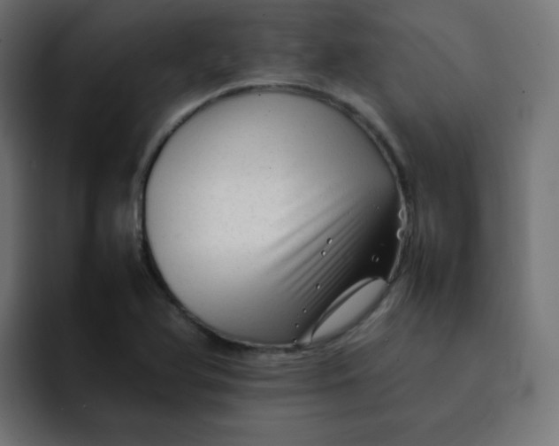 X0000092061366200710031053