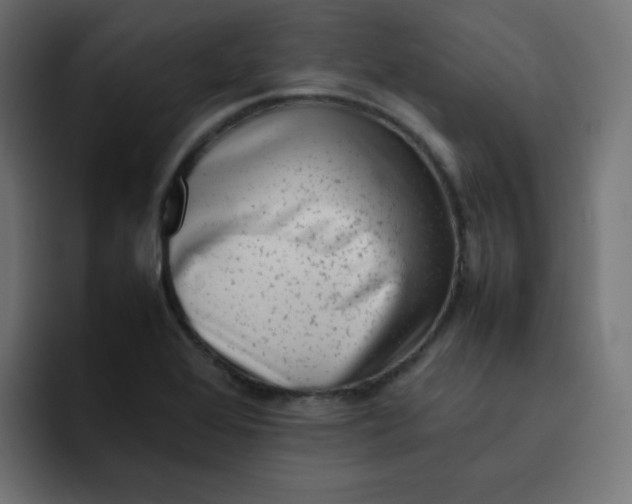 X0000092061368200710031053