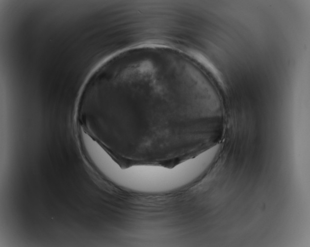 X0000092061372200710031053