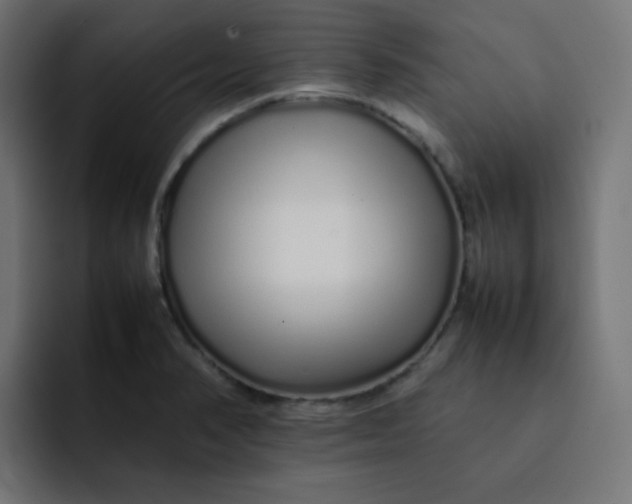 X0000092061374200710031053