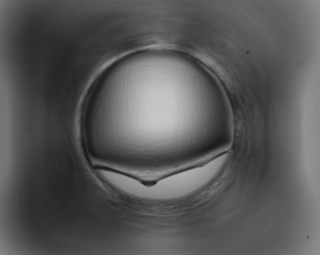 X0000092061375200710031053