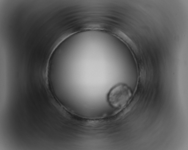 X0000092061378200710031053