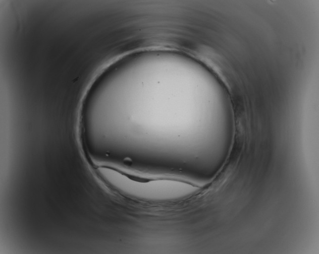 X0000092061379200710031053