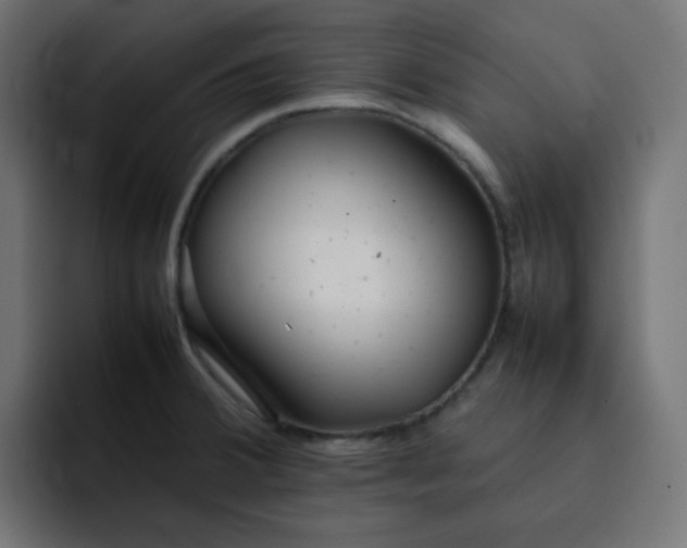 X0000092061380200710031053