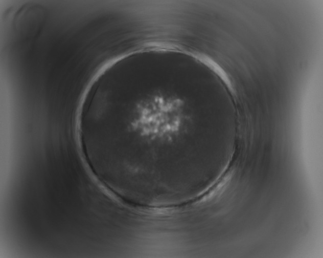 X0000092061381200710031053