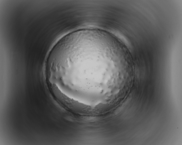 X0000092061382200710031052