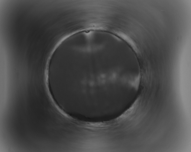 X0000092061383200710031052