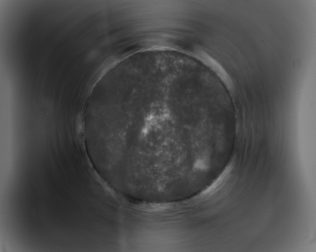 X0000092061385200710031052