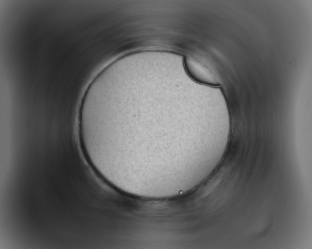 X0000092061387200710031052