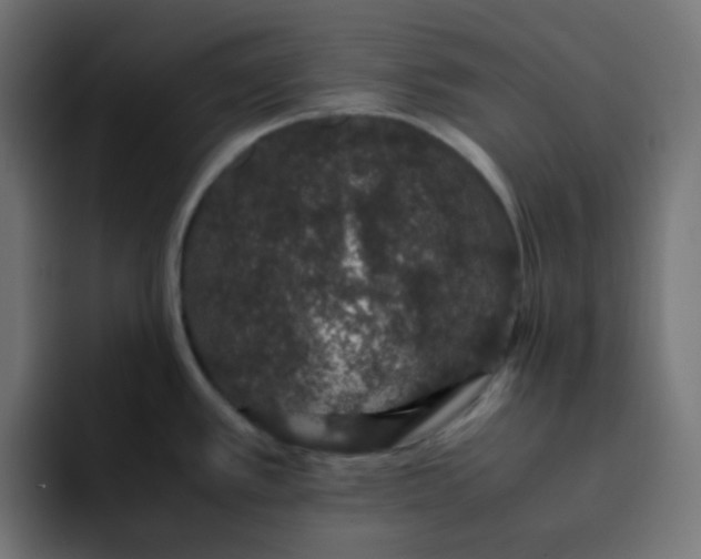 X0000092061389200710031052