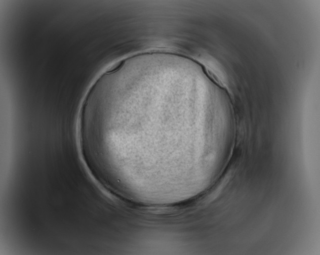 X0000092061391200710031052