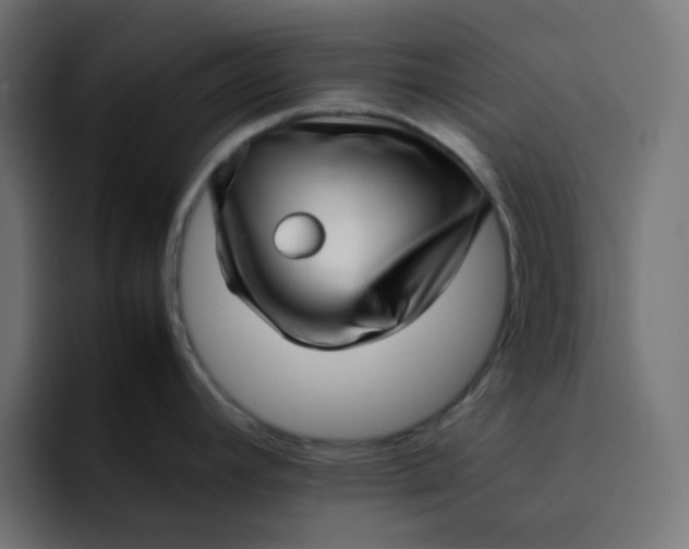 X0000092061392200710031052