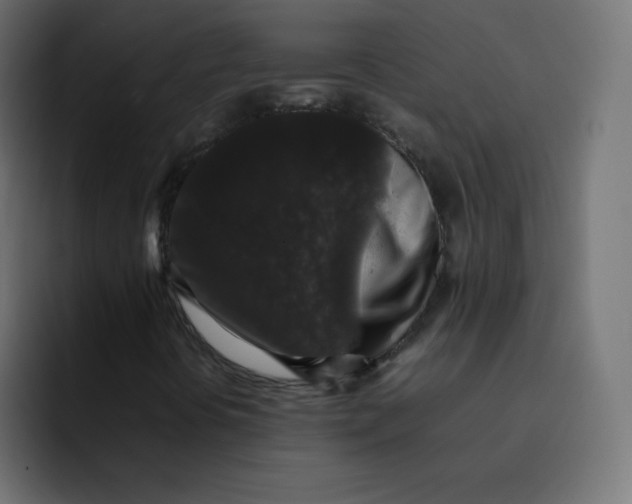 X0000092061394200710031052