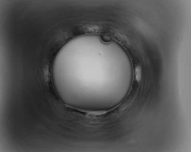 X0000092061395200710031052