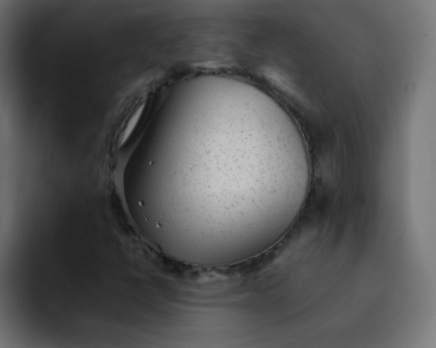 X0000092061398200710031052