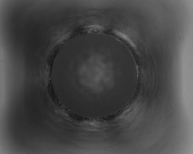 X0000092061399200710031052