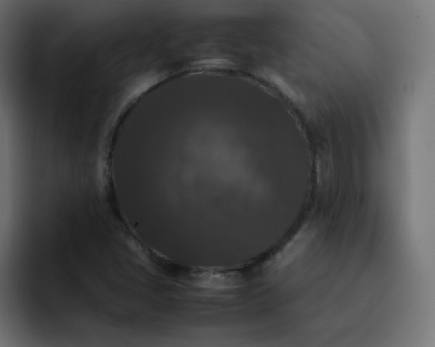 X0000092061405200710031052