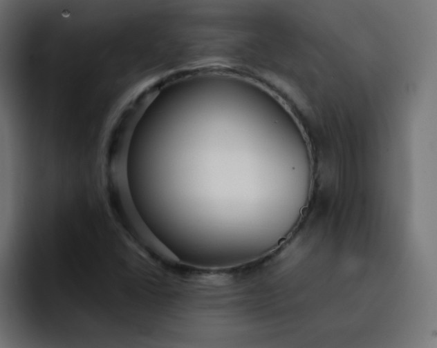 X0000092061406200710031052