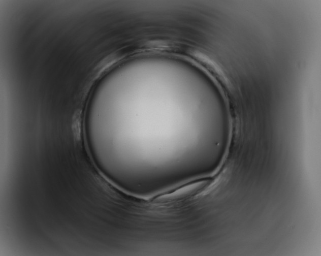 X0000092061409200710031052