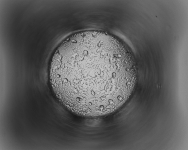 X0000092061415200710031052