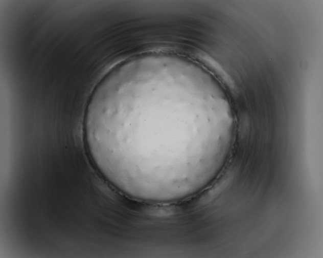 X0000092061417200710031052