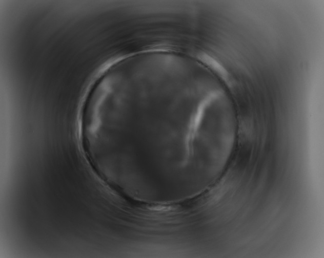 X0000092061419200710031052