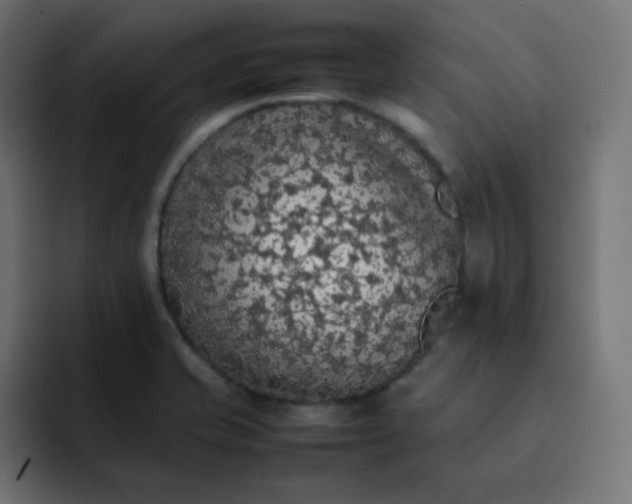 X0000092061421200710031052