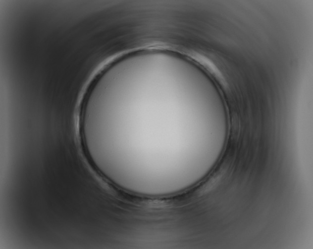 X0000092061424200710031052