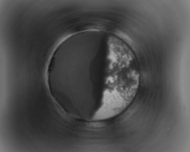 X0000092061427200710031052