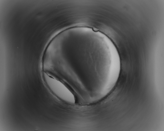 X0000092061428200710031052