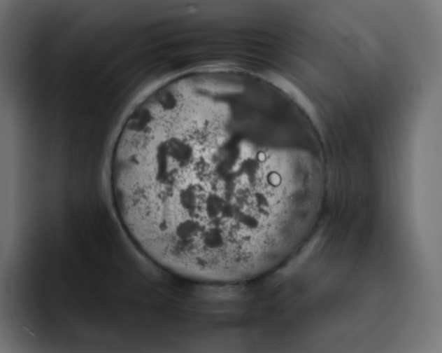 X0000092061429200710031052